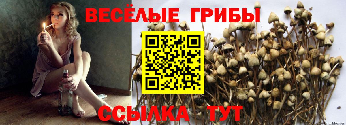 Галлюциногенные грибы Magic Shrooms Югорск