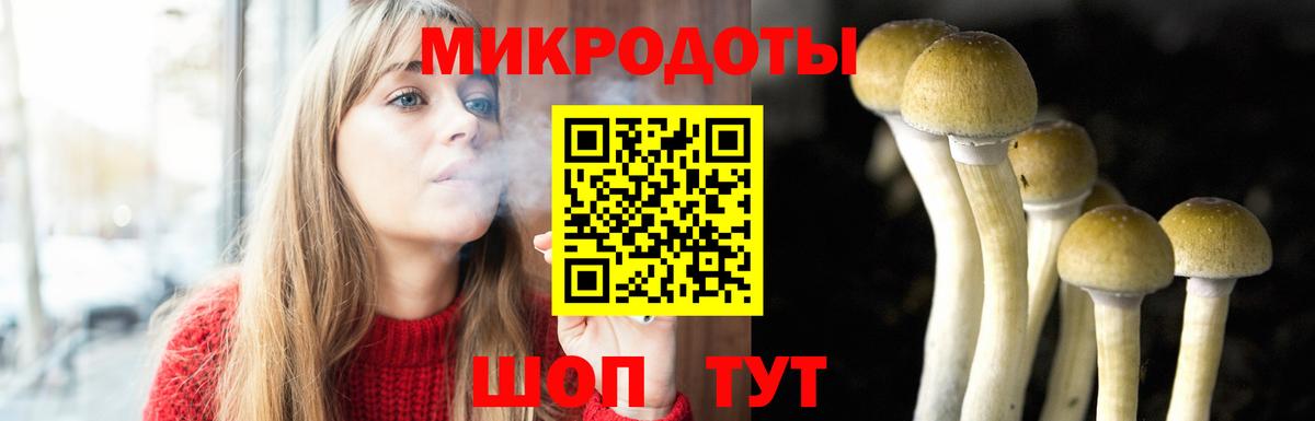 Псилоцибиновые грибы Psilocybine cubensis  Вход с VPN  Югорск 